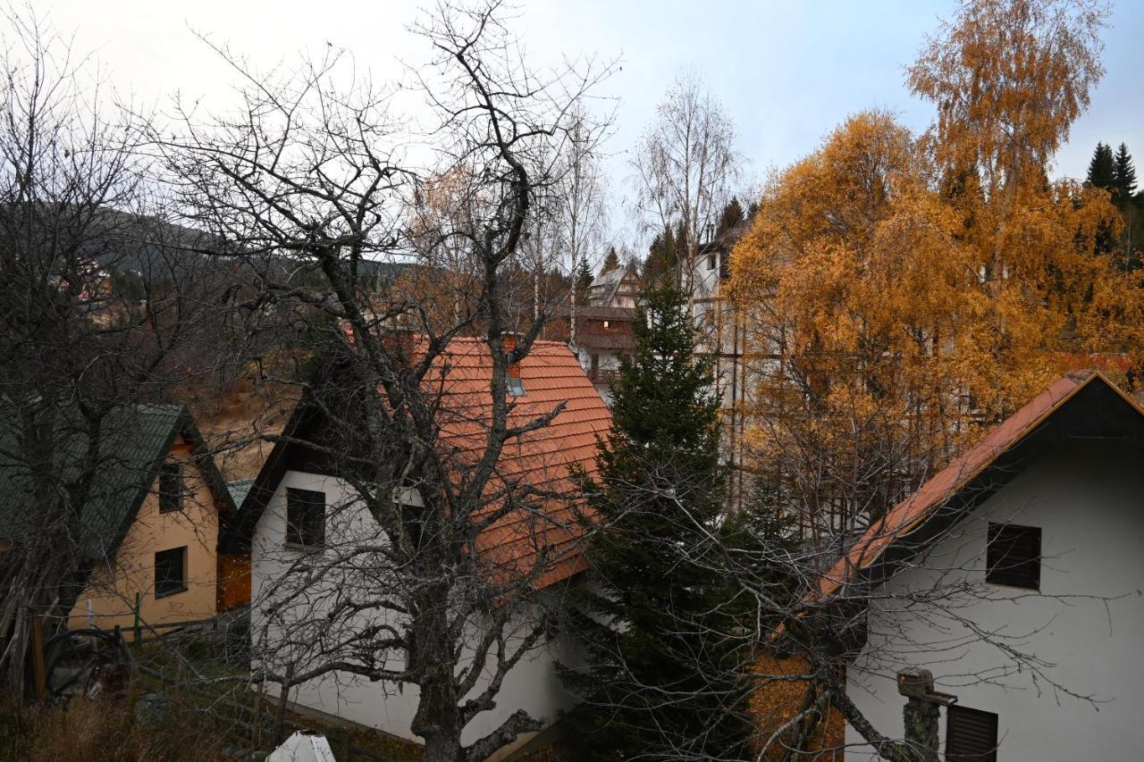 Apartman Vukasin Kopaonik Ngoại thất bức ảnh