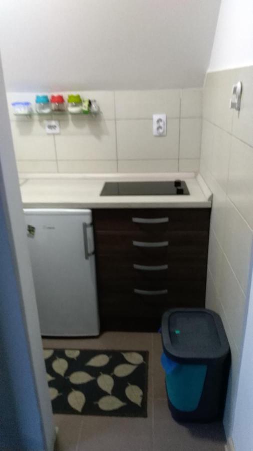 Apartman Vukasin Kopaonik Ngoại thất bức ảnh